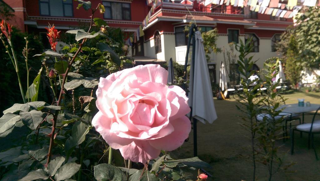 Rokpa Guest House Катманду Екстер'єр фото